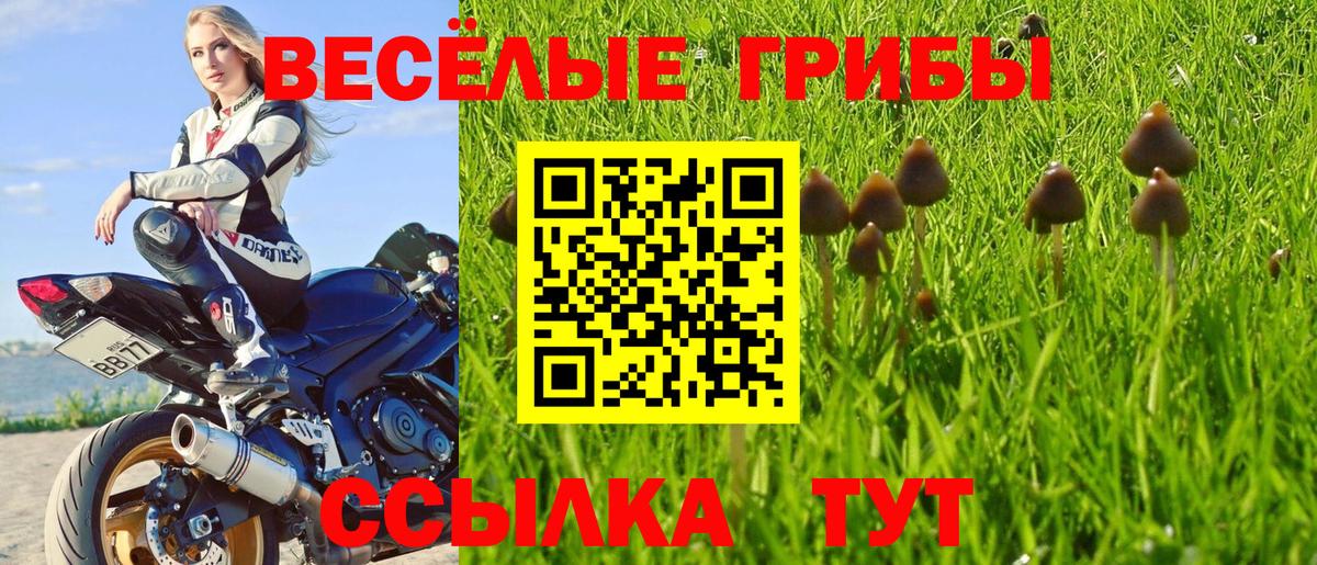 Галлюциногенные грибы Psilocybe  Вход с VPN  Чебаркуль 